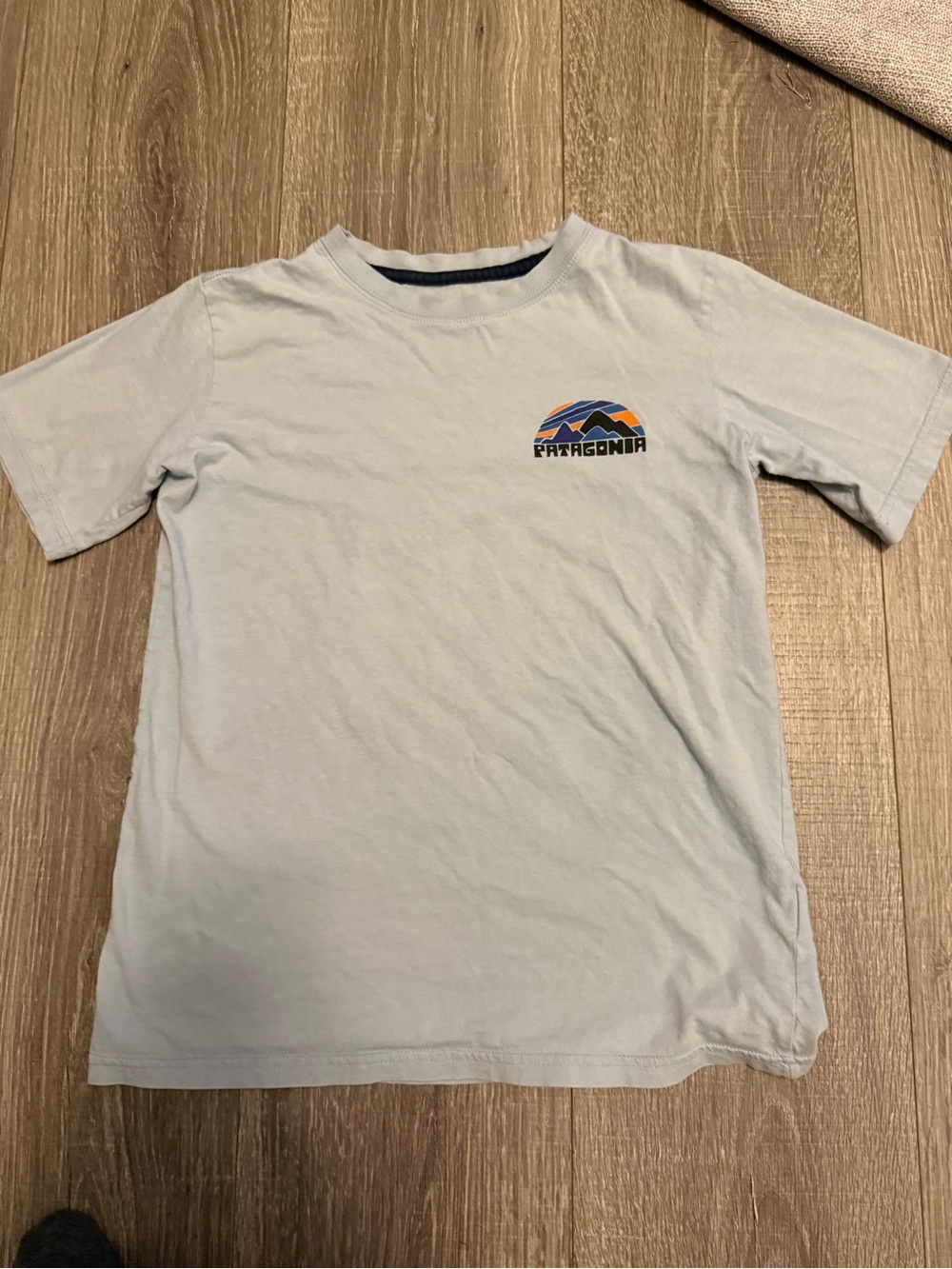 Patagonia Light Blue Kids Short Sleeve Tee with Multicolor Logo